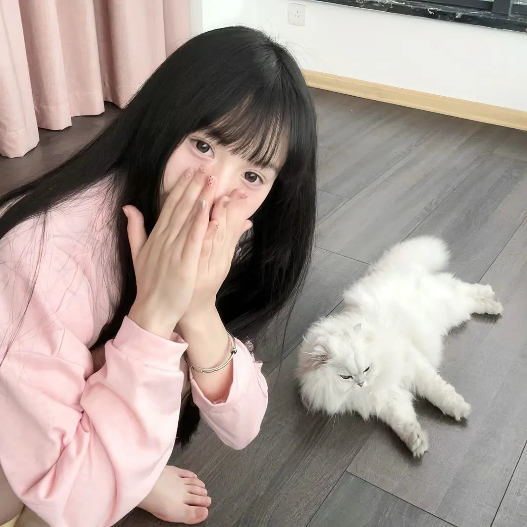 纳斯卡:全速狂飙