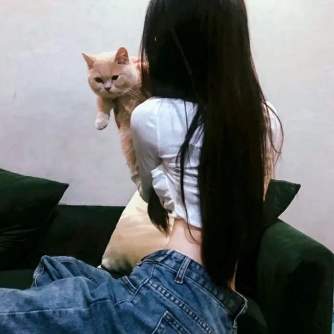 鸽战总动员